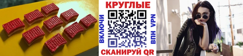 Ecstasy Philipp Plein  цена   Заволжье 