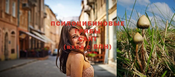 соль ск Наволоки