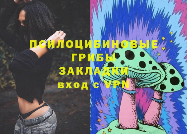 первитин Надым