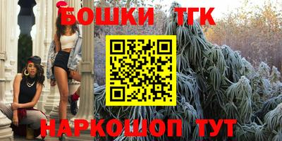 мдпв Гусев