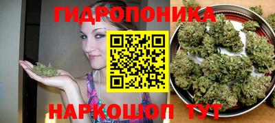 гашишное масло Будённовск