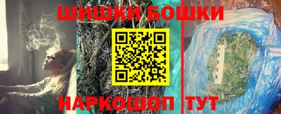 мдпв Гусев