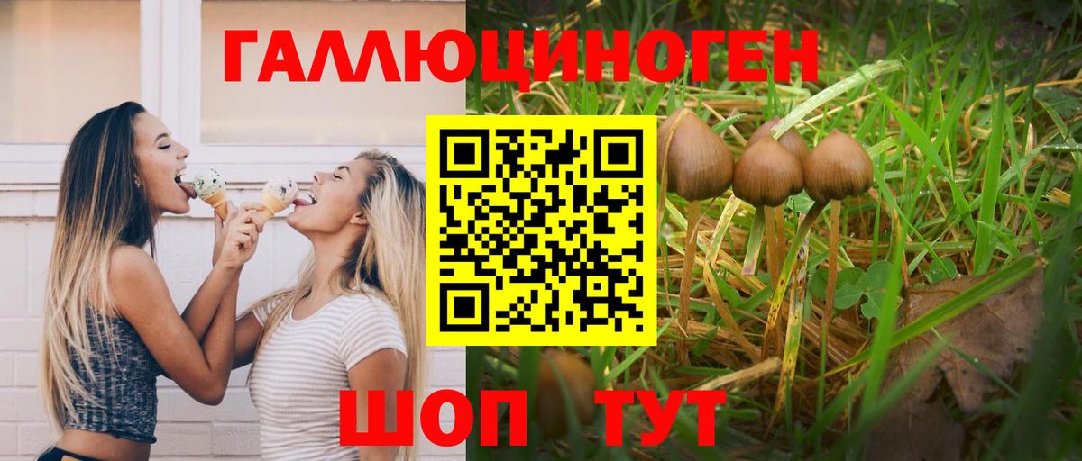 где продают наркотики  Вход с VPN  Заволжье  Галлюциногенные грибы MAGIC MUSHROOMS 
