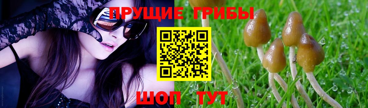 Галлюциногенные грибы MAGIC MUSHROOMS  Псилоцибиновые грибы мицелий  Заволжье 